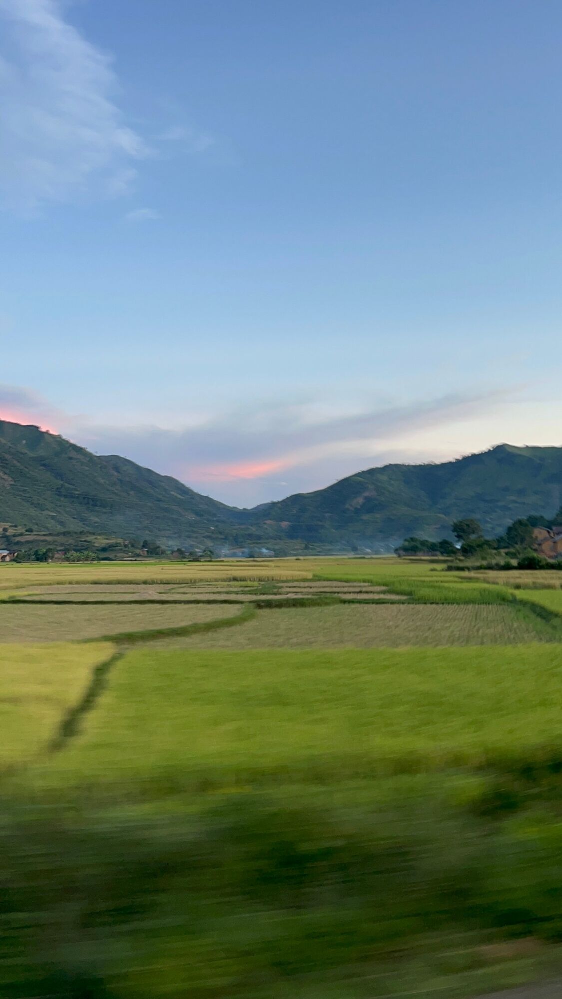 Rice fields and mountains seen from a moving car